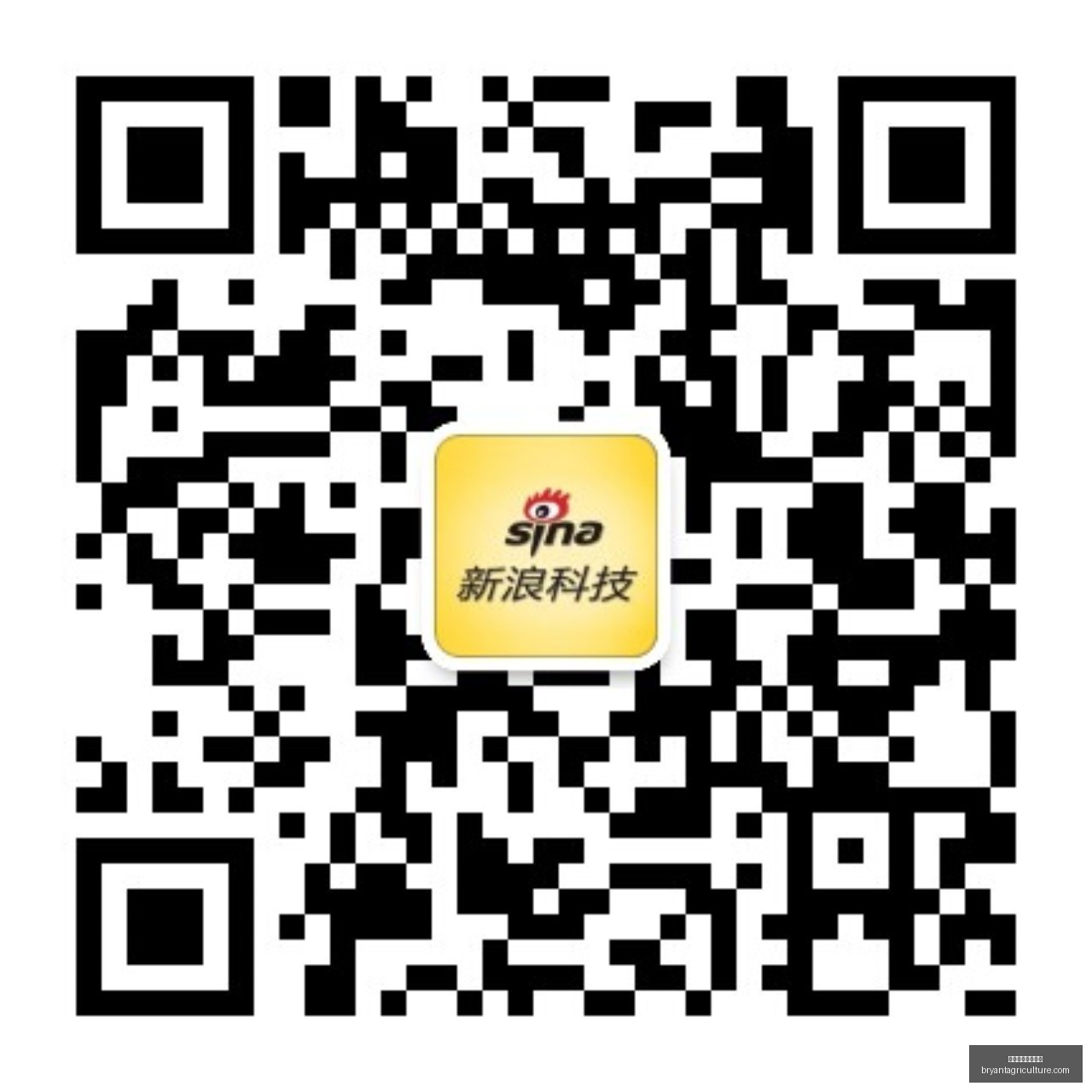 博甘斯,防守麦迪是,留队关键,澳门新葡京娱乐城官网,澳门新葡京娱乐城App,澳门新葡京娱乐城下载,澳门新葡京娱乐城登录,澳门新葡京娱乐城平台